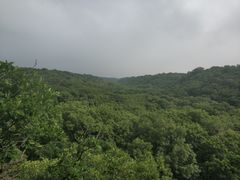 -大青沟风景区
