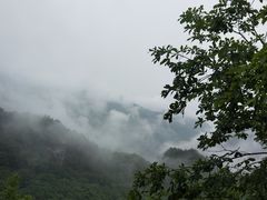 -五女峰国家森林公园