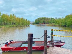 -上海长兴岛郊野公园