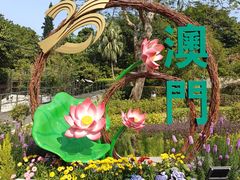 -石排湾郊野公园