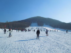 -玉泉威虎山森林公园