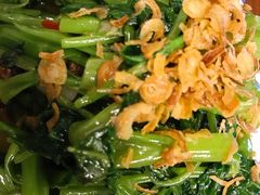 飞天空心菜-苏梅花园(群星城店)