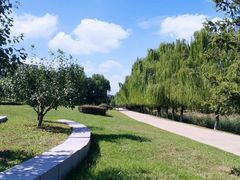 -莫子山公园