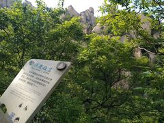 -汤旺河林海奇石景区