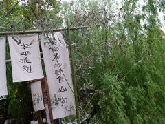 -苏州本色美术馆