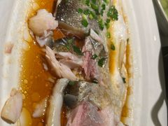 -松沪名灶·豆浆鱼头·新上海菜(飞航吾悦广场店)