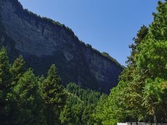 -重庆睡佛山森林公园
