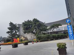 -电谷雅阁国际大酒店