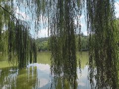 -西安市长乐公园
