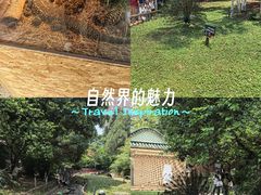 -昆明动物园