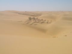 -亿利库布其七星湖沙漠生态旅游区