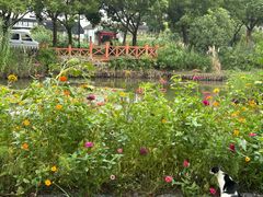 -丫丫蟹庄·苏式园林农家乐·阳澄湖大闸蟹(阳澄湖莲花岛店)