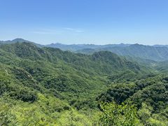 -大岭沟猕猴桃谷风景区