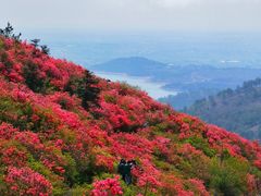 -木兰云雾山