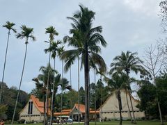 -中国科学院西双版纳热带植物园
