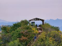 -大岭沟猕猴桃谷风景区