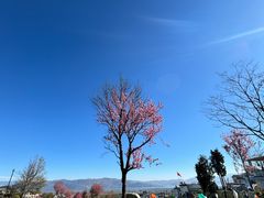 -云禾壹海景庄园餐厅