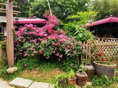 -花间酒庭院餐厅(谷山店)