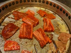 -熊出没日本烧肉放题