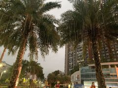 -深圳龙华星河COCO City(民治店)