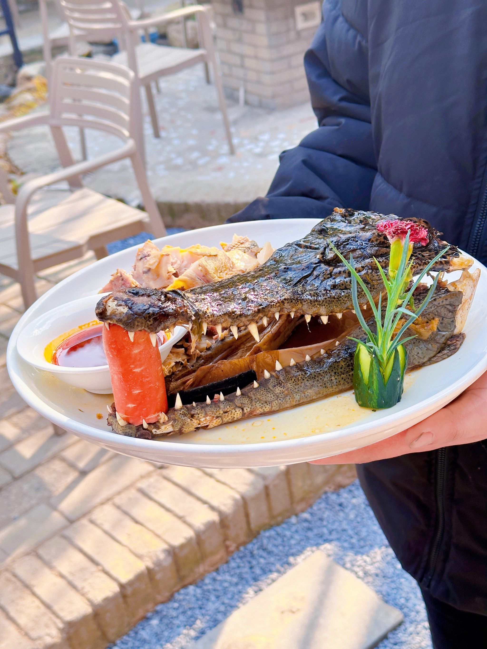 谁懂啊 住了个民宿 居然吃到了鳄鱼大餐