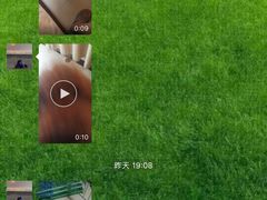 -波姐宠物家庭寄养