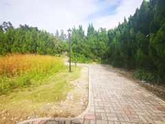 -南沙蒲洲花园