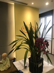 -FineYoga梵音瑜伽·普拉提