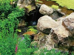-白水寺森林公园