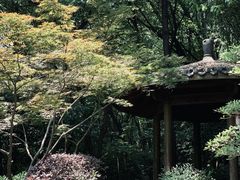 -杭州半山国家森林公园