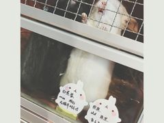 -藦茜花园宠物主题亲子互动体验馆(国顺东路店)