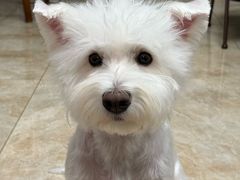 -宠宠熊宠物美容(星湖街店)