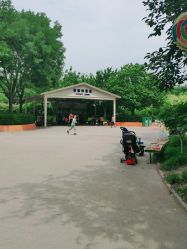-酷酷兔少儿拓展天地