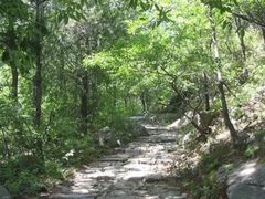 -阳台山自然风景区