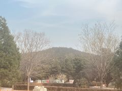 -秦始皇帝陵博物院-丽山园