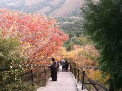-香山公园