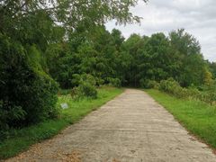 -上海海湾国家森林公园