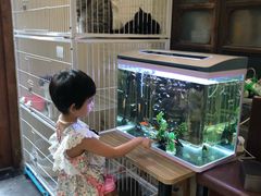 -两棵枇杷树