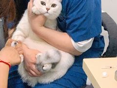 -仁普宠物诊所(住友昌盛新苑店)