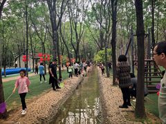 -草根堂农场