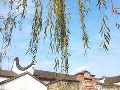 -碧丽宫大酒店(召稼楼店)