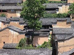 -杨家堂村