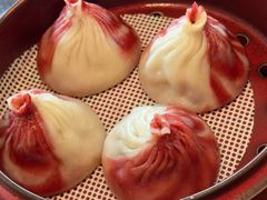 -随堂里
