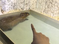 -重庆欢乐海底世界