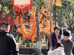 -桂林古东瀑布景区