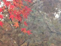 -长广溪湿地公园