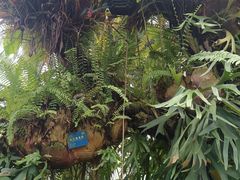 -国家植物园南园