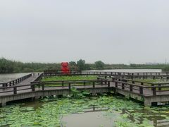 -宁波杭州湾国家湿地公园