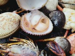 -芽庄喜来登水疗酒店