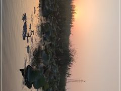 -白洋淀景区